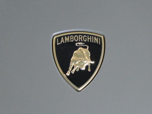 ウラカン ステラート　ＬＰ６１０－４　世界限定１４９９台　ＯＰ６４１　走行９５ｋｍ　ＯＰ６４１　プロテクションフィルム　３年メンテナンスＰＫＧ加入　マットブラック鍛造１９ＡＷ　リアカメラ　アルカンターラダッシュ／ルーフ／ステアリング　カーボンスポーツシート（10枚目）