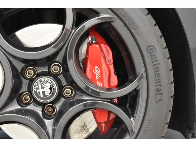 �P�W�C���`�A���C�z�C�[�����t�����g�̓u�����{�����b�h�L�����p�[�B���S�n�����K�ł��B