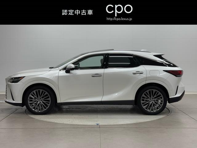 ���X�͐�z�X�������Ɉʒu���A�n���S�Ԓˉw���Ŋ��ƂȂ�܂�