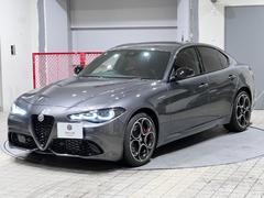 ����ꥢ �������������������ݾڷѾ����ر졡��Ϣ�̣ţĥޥȥꥯ���إåɥ饤�ȡ���åɥ쥶�������� 9572501A30251129W001 6