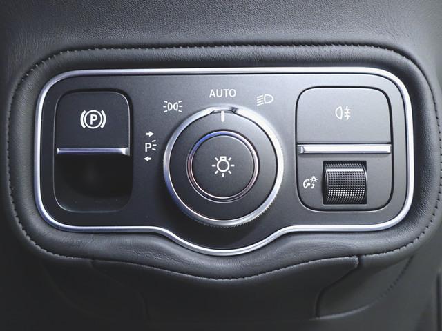 Ｇクラス Ｇ４５０　ｄ　ローンチエディション（20枚目）