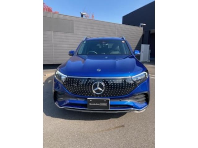 EQB EQB250プラス AMGラインパッケージ(3枚目)