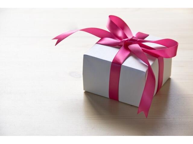 ポロ TSIコンフォートライン 純正ナビ・TV・Bカメラ・ACC・16インチAW/・車検整備付(3枚目)