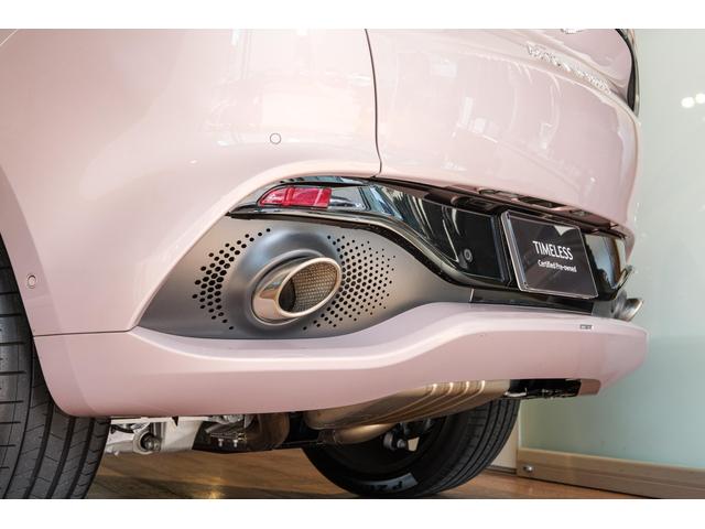 DBX 4WD ブラッシュパール 2025年新型モデル(39枚目)