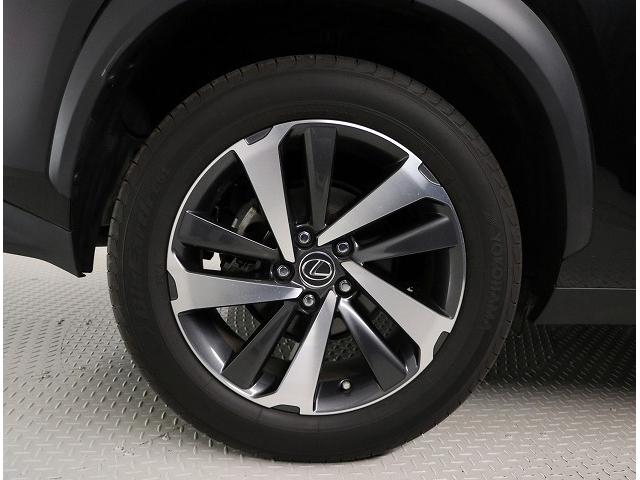 NX300 バージョンL 認定中古車CPO(18枚目)
