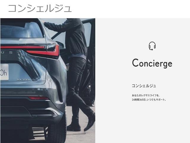 ＲＸ ＲＸ５００ｈ　Ｆスポーツパフォーマンス　認定中古車ＣＰＯ　専用オレンジキャリパー　ルーフレール　寒冷地仕様　パノラマルーフ　輻射ヒーター　フロアマット　ナンバーフレーム　ＴＲＤエアロパーツ　ＴＲＤミラーカバー　ＴＲＤリアウイング（40枚目）
