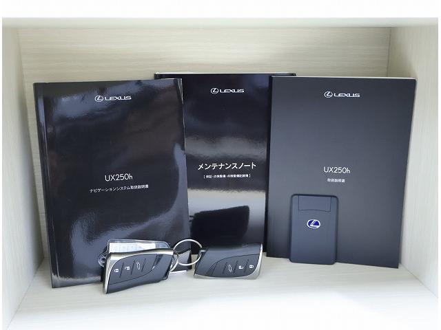 ＵＸ ＵＸ２５０ｈ　バージョンＬ　認定中古車ＣＰＯ（20枚目）
