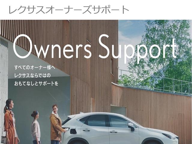 ＵＸ ＵＸ２５０ｈ　バージョンＬ　認定中古車ＣＰＯ（39枚目）