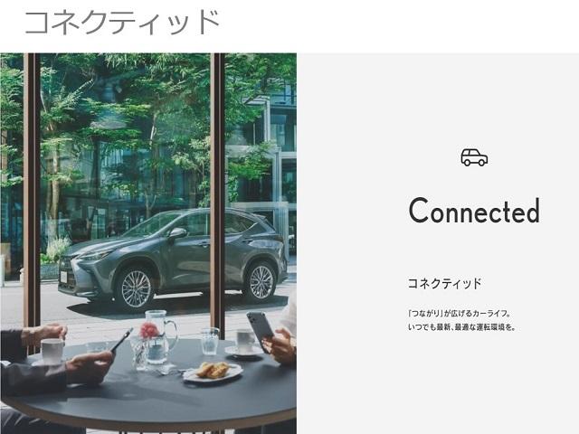 ＵＸ ＵＸ２５０ｈ　バージョンＬ　認定中古車ＣＰＯ（41枚目）