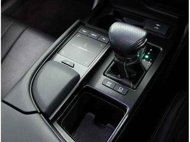 ES ES300h Fスポーツ 認定中古車CPO ムーンルーフ標準装備 プリクラッシュセーフティーシステム バックモニター L-TEX(合皮)シート ブラインドスポットモニター(15枚目)