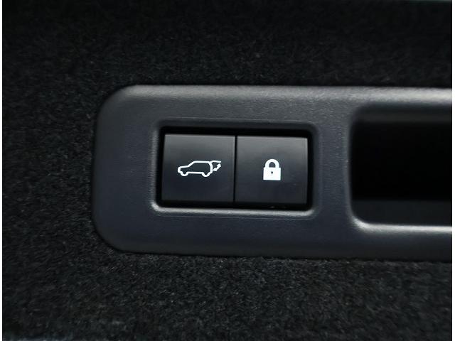 RX RX450hL(17枚目)