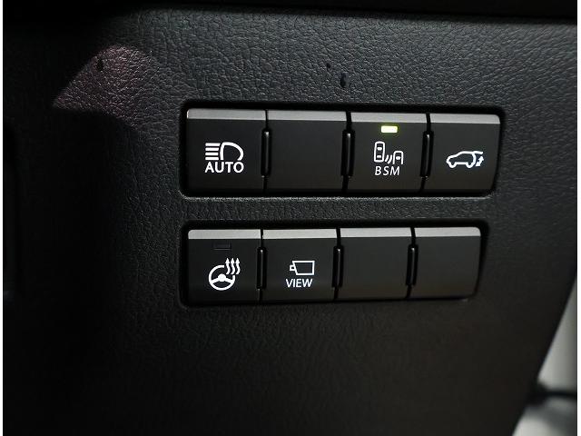 NX NX300 Iパッケージ 認定中古車CPO(13枚目)