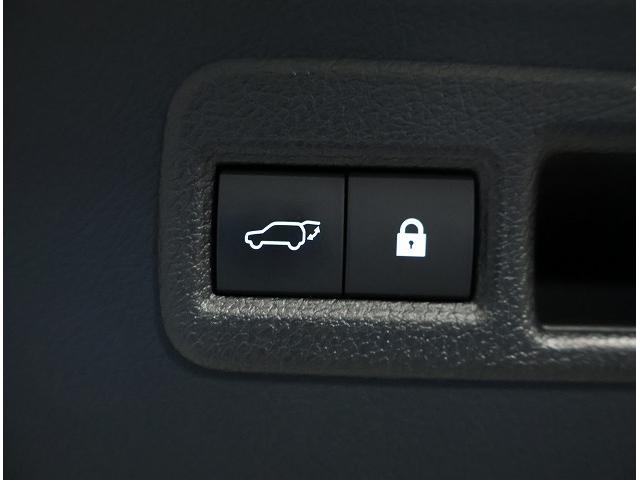 NX NX300 Iパッケージ 認定中古車CPO(17枚目)