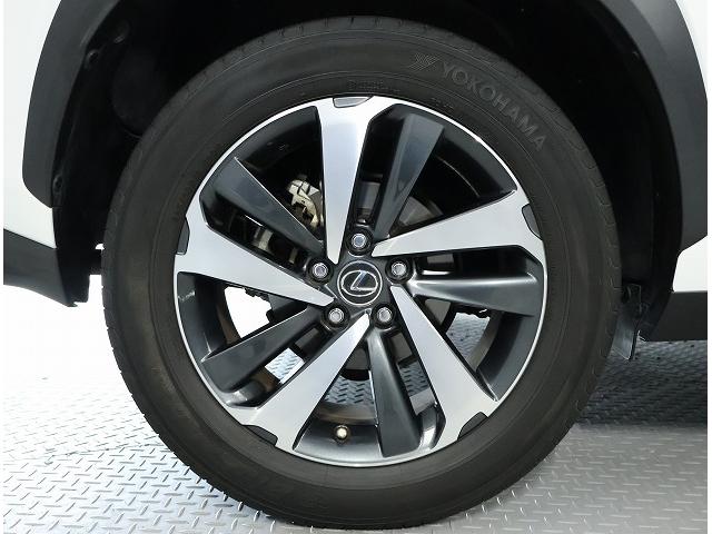 NX NX300 Iパッケージ 認定中古車CPO(19枚目)