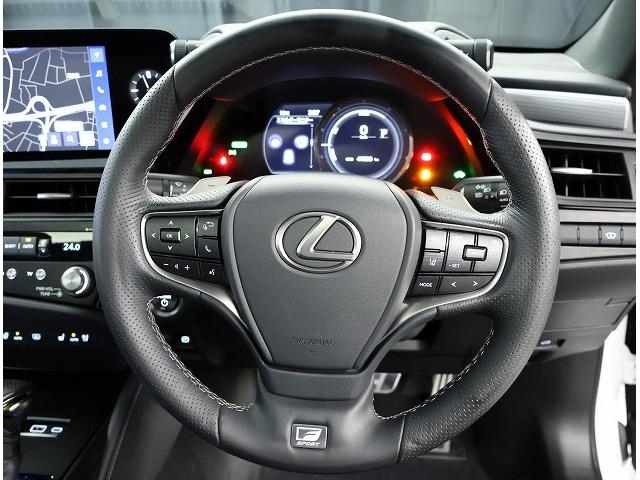 ES ES300h Fスポーツ 認定中古車CPO(10枚目)
