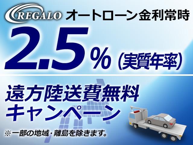 フェリーヌ 1オーナー禁煙ETC新品ポータブルナビ障害物センサー付き(3枚目)