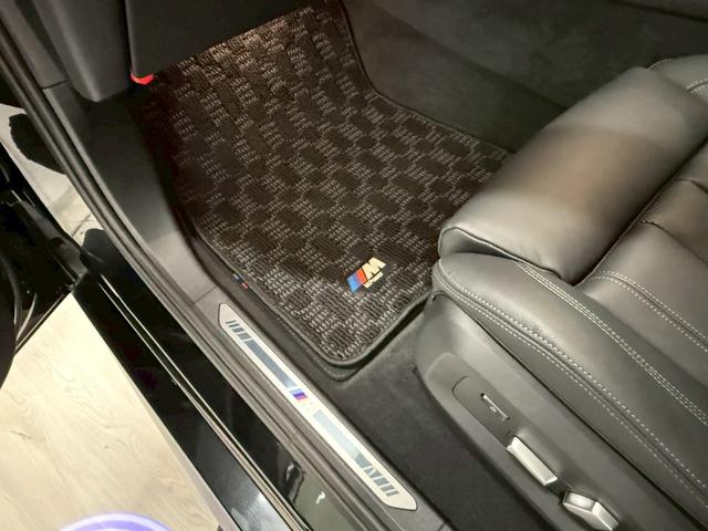 Ｘ６ ｘＤｒｉｖｅ　３５ｄ　Ｍスポーツ　ディーゼルターボ　４ＷＤ　ファストトラックＰＫＧ・Ｍカーボン（ミラーキャップ・リアスポイラー）・カーボンファイバーインテリアトリム・電動パノラマサンルーフ・２２インチダブルスポークスタイリング（58枚目）