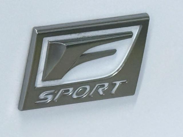 ＲＸ ＲＸ３００　Ｆスポーツ　３眼ＬＥＤヘッドライト・ＨＵＤ・パノラマハーフ・赤革シート＆ベンチレーション・ハンドルヒーター＆シートヒーター・置くだけ充電・サイド＆バックカメラ・ＴＶジャンパー・メーカーＯＰナビ（16枚目）