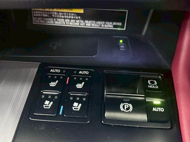 ＲＸ ＲＸ３００　Ｆスポーツ　３眼ＬＥＤヘッドライト・ＨＵＤ・パノラマハーフ・赤革シート＆ベンチレーション・ハンドルヒーター＆シートヒーター・置くだけ充電・サイド＆バックカメラ・ＴＶジャンパー・メーカーＯＰナビ（34枚目）