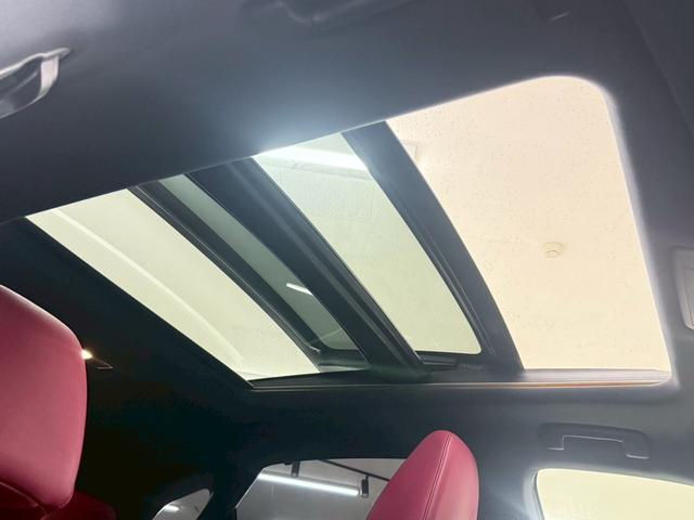 ＲＸ ＲＸ３００　Ｆスポーツ　３眼ＬＥＤヘッドライト・ＨＵＤ・パノラマハーフ・赤革シート＆ベンチレーション・ハンドルヒーター＆シートヒーター・置くだけ充電・サイド＆バックカメラ・ＴＶジャンパー・メーカーＯＰナビ（37枚目）