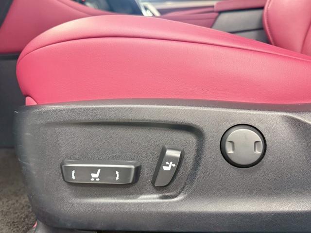 ＲＸ ＲＸ３００　Ｆスポーツ　３眼ＬＥＤヘッドライト・ＨＵＤ・パノラマハーフ・赤革シート＆ベンチレーション・ハンドルヒーター＆シートヒーター・置くだけ充電・サイド＆バックカメラ・ＴＶジャンパー・メーカーＯＰナビ（47枚目）