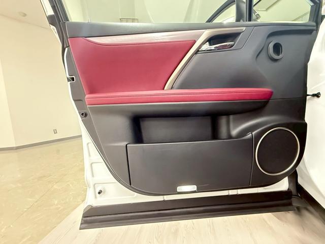 ＲＸ ＲＸ３００　Ｆスポーツ　３眼ＬＥＤヘッドライト・ＨＵＤ・パノラマハーフ・赤革シート＆ベンチレーション・ハンドルヒーター＆シートヒーター・置くだけ充電・サイド＆バックカメラ・ＴＶジャンパー・メーカーＯＰナビ（53枚目）