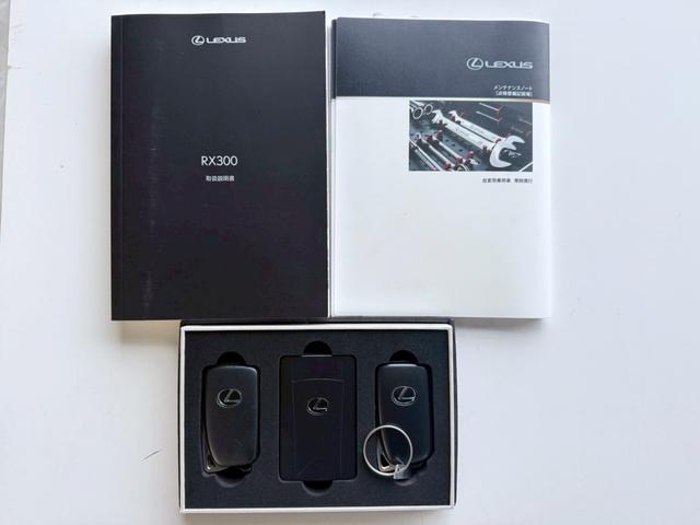 ＲＸ ＲＸ３００　Ｆスポーツ　３眼ＬＥＤヘッドライト・ＨＵＤ・パノラマハーフ・赤革シート＆ベンチレーション・ハンドルヒーター＆シートヒーター・置くだけ充電・サイド＆バックカメラ・ＴＶジャンパー・メーカーＯＰナビ（59枚目）