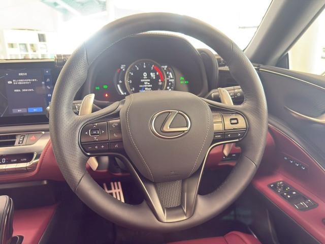 LC LC500 マークレビンソン・パフォーマンスダンパー・ドラレコ・パノラミックビューモニター・21インチアルミ・3眼LEDヘッドライト・HUD(26枚目)
