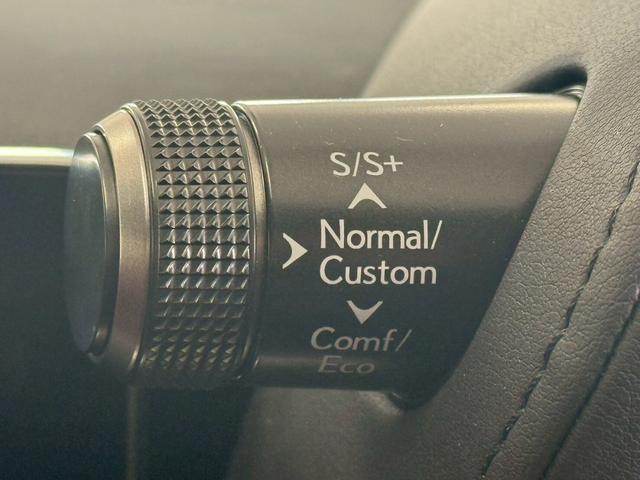 LC LC500 マークレビンソン・パフォーマンスダンパー・ドラレコ・パノラミックビューモニター・21インチアルミ・3眼LEDヘッドライト・HUD(28枚目)