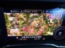 Ｖ１０クーペパフォマンス５．２ＦＳＩクワトロ　４ＷＤ　バング＆オルフセンオーディオ・ファインナッパレザースポーツシートリアビューカメラ・・セラミックブレーキグロスレッド・アウディパーキングシステム（41枚目）