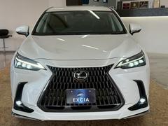 ̩˹Ԥطɹʾ֤ǤǼ֤ĺޤݤȥ꡼˥󥰤Ǥ 7