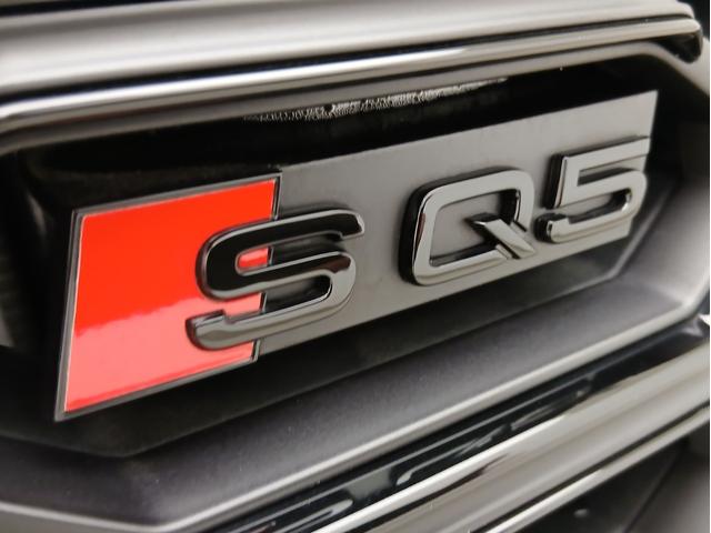 SQ5 ベースグレード レザーパッケージ パノラマサンルーフ アダプティブSスポーツエアサスペンション ブラック Audi rings & ブラックスタイリング プライバシーガラス コンフォートパッケージ(11枚目)