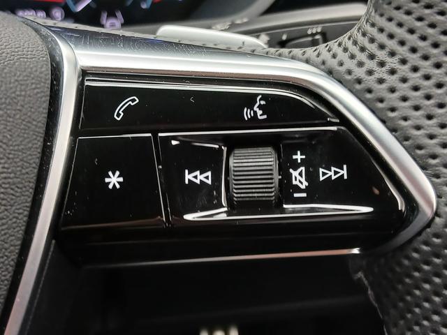 Ｑ８スポーツバック ｅ－トロン ５５ｅ－トロンクワトロ　Ｓライン　デジタルマトリクスＬＥＤヘッドライト　サイレンスパッケージバーチャルエクステリアミラー　インテリアパッケージ　アルミホイール　Ａｕｄｉ　ｒｉｎｇｓ　＆　ブラックスタイリングパッケージ（44枚目）