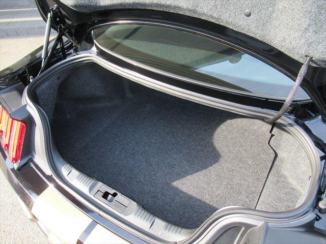 GT PREMIUM 10AT Hearzカラー 460HP(18枚目)