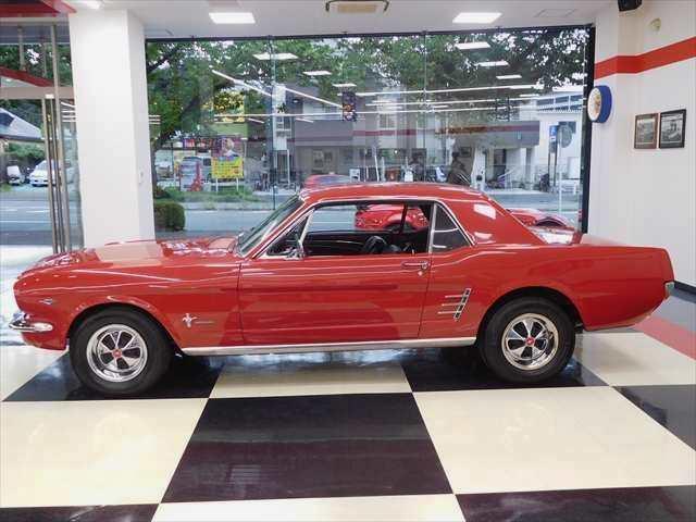 2dr H/T 自社輸入車 BCD 302Ci-V8(12枚目)
