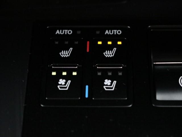 RX300ブラックシークエンス(14枚目)