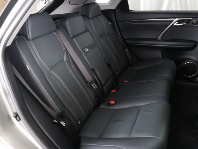 RX300ブラックシークエンス(19枚目)