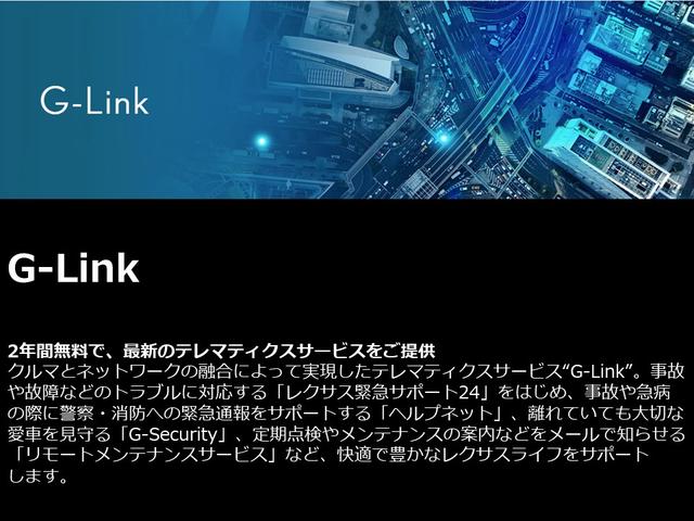 ＩＳ ＩＳ３００　Ｆスポーツ　自動追従　地デジ　横滑り防止　ＤＶＤ再生　記録簿　電動シート　メモリーナビ　ミュージックプレイヤー接続可　ナビＴＶ　盗難防止装置　パワーウィンドウ　スマートキー　エアバッグ　ＥＴＣ　アルミホイール（28枚目）
