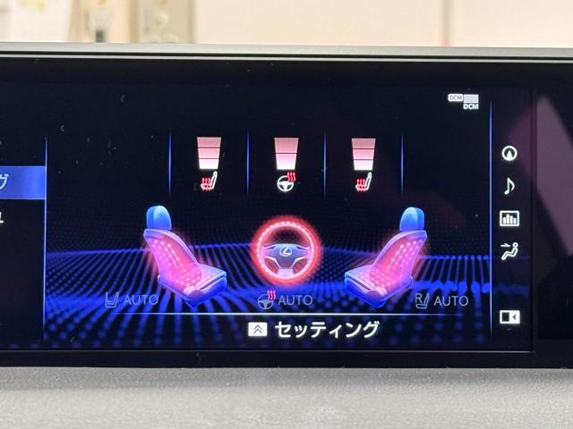 ＵＸ２５０ｈ　Ｆスポーツ　オートクルーズ　ＬＥＤランプ　サンルーフ　ＥＴＣ　ＴＶナビ　パワーシート　スマートキー　アルミホイール　ＤＶＤ　ＡＳＣ　メモリナビ　ミュージックプレイヤー接続可　記録簿　パワーウィンドウ　キーフリー(12枚目)