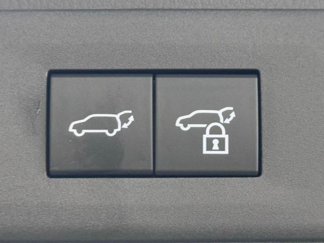 ＮＸ ＮＸ３５０ｈ　スマートキー　バックカメラ　フルセグＴＶ　ＡＣＣ　ＥＴＣ　サイドエアバッグ　メモリーナビ　本革シート　電動シート　ＬＥＤヘッド（19枚目）