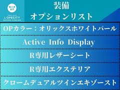 գ ١졼ɡǯݾڢ󥪡ʡǥ᡼꡼եѥ 9572616A30250515W001 2