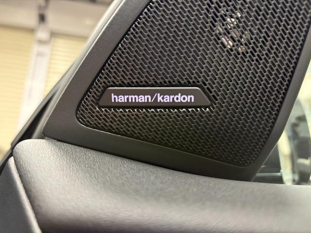 X3 20d xDrive Mスポーツ 新車保証 コンフォートパッケージ harman/kardonスピーカー 全周囲カメラ 純正ナビ アダプティブLEDヘッドライト パワーバックドア アンビエントライト(12枚目)