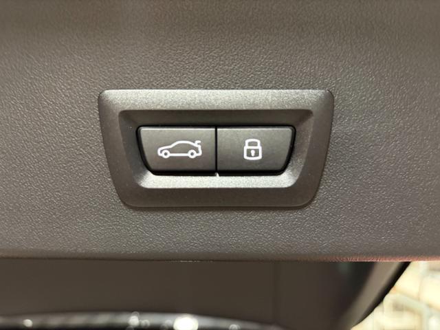 X3 20d xDrive Mスポーツ 新車保証 コンフォートパッケージ harman/kardonスピーカー 全周囲カメラ 純正ナビ アダプティブLEDヘッドライト パワーバックドア アンビエントライト(31枚目)