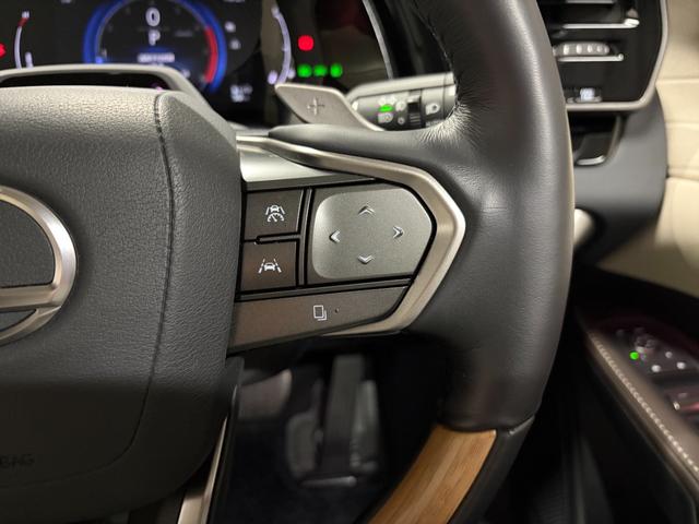 ＲＸ ＲＸ３５０　バージョンＬ　新車保証　パノラマサンルーフ　ＨＵＤ　白革　パノラミックビューモニター　デジタルミラー　パワーバックドア（19枚目）