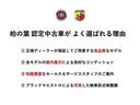 コンペティツィオーネ　ＭＴ・ブラック内装・前後ドライブレコーダー・ＥＴＣ・ＡｐｐｌｅＣａｒＰｌａｙ　ＡｎｄｏｒｏｉｄｏＡｕｔｏ対応・１７インチアルミホイール（29枚目）