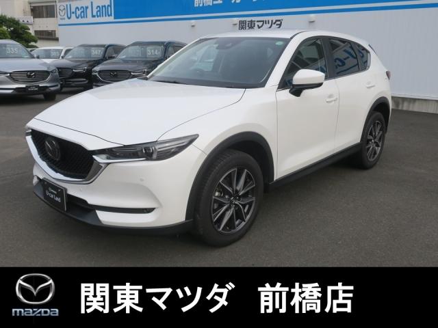 XD プロアクティブ Mナビ 地デジ BOSE ETC 19AW(1枚目)