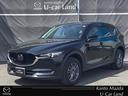 carPhoto