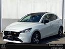 carPhoto