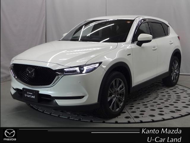 ޥĥ ãءݣ ӡǯ̵ǰ֡ޥĥͥʥ