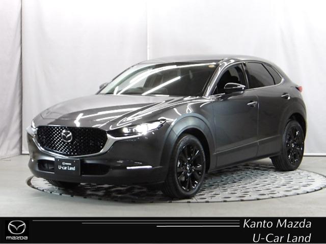 ǤΤбԤᡢϴޥĥ Źޤ˥եӥŹǽʤͤȤƤޤ 1